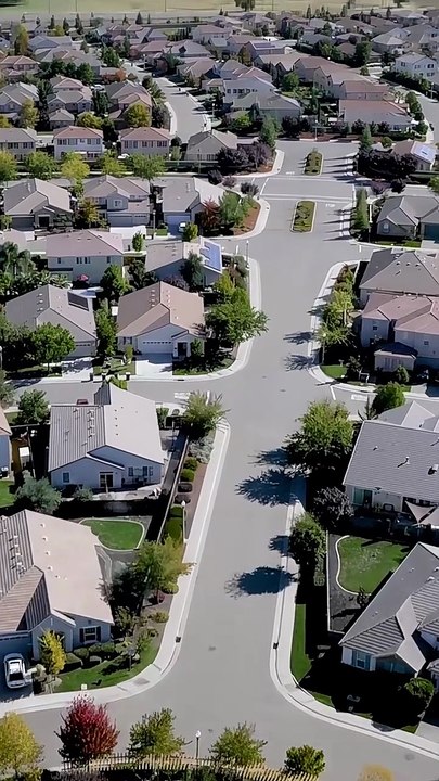 Destined to Three Alphas #Dramabox