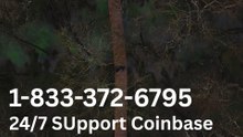 【LATEST UPDATE】 COINBASE® CUSTOMER SERVICE Phone Number (Official)