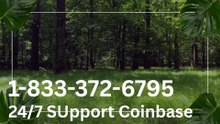 29】℠ How To Contact COINBASE SUPPORT– Official Phone Number