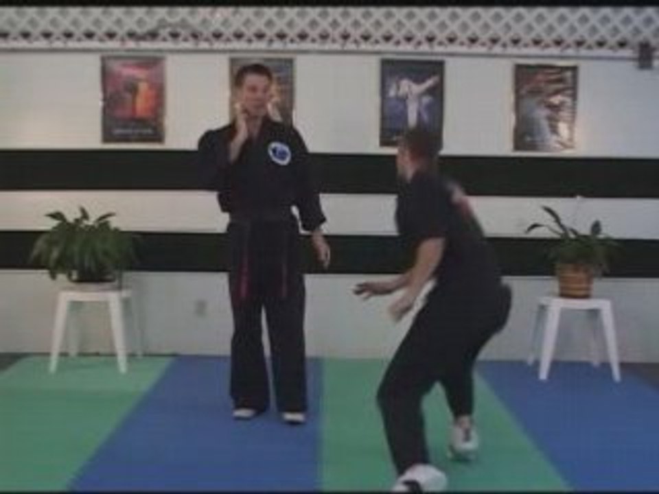 How To Self Defense Kenpo Set Karate “Circling the video