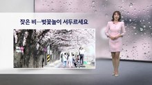 [이슈 날씨] 잦은 비...벚꽃놀이 서두르세요 / YTN