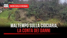 Vento forte in Ciociaria: alberi caduti e disagi, ora la conta dei danni
