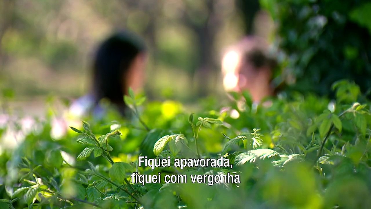 RTP1 Promo A Prova dos Factos (2026-)