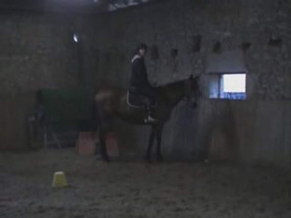 Cheval_doudou_encoded2.02