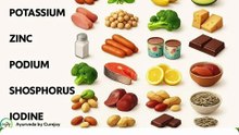 mineral-rich foods