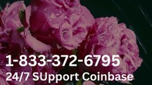[[TE ULTIMATE GUIDE]] to CoinbaseⓃ WALLET CARE℗ Support Numbers