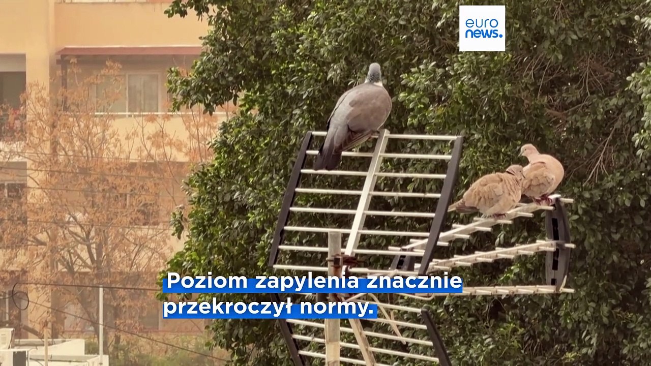 Czerwony alarm na Cyprze w związku z afrykańskim pyłem - zalecenia dla obywateli