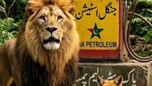 Petrol Price in Pakistan 😊 Funny Politicians of Pakistan | Funny Politics | Azhar Malik
