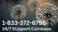⁂⁂《OFFICIALGUIDE》 COINBASE® CUSTOMER SERVICE℗ Official Phone Number (1212 FREE)