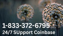 ⁂⁂《TOTAL-GUIDE》 COINBASE® Official CUSTOMER CARE℗ Contact Number (Toll-Free 1212)