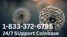 Coinbase® SUPPORT SERVICE| How to Access 24/7 Customer Help – Complete Guide