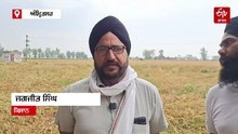 ਖੇਤਾਂ ਵਿੱਚ ਖੜੀ ਫਸਲ ’ਤੇ ਮੌਸਮ ਦੀ ਮਾਰ, ਕਿਸਾਨਾਂ ਦੀ ਵਧੀ ਚਿੰਤਾ