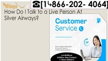 ✿✿How to Contact Silver Airwaysines ⧪ ⧪® ⤐Customer Service Official 24-7 Support Guide▰▰