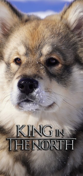 King in the North