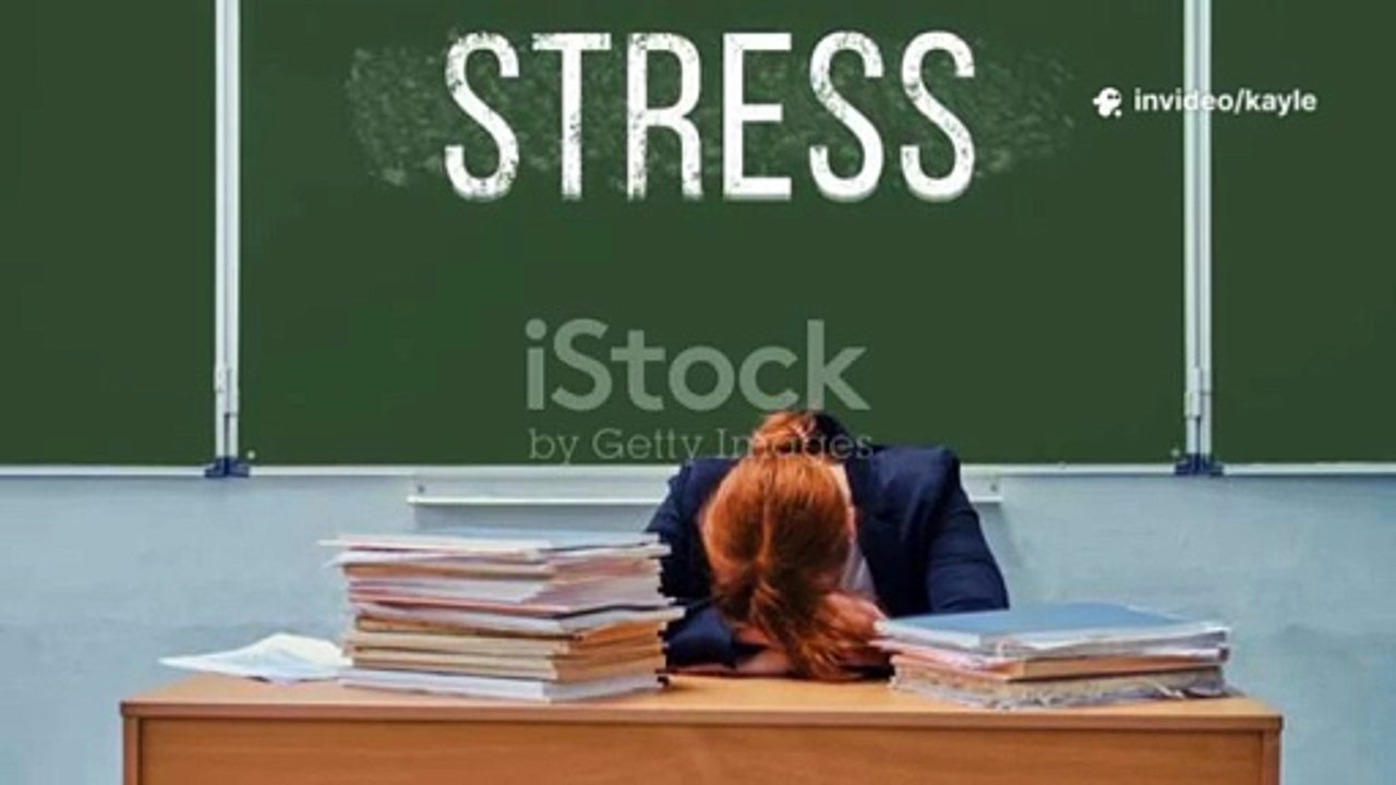 Research Methods Assignment Help | Expert Guidance for High-Quality Academic Research