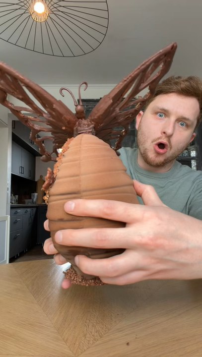 L’œuf de Pâques de la meilleure pâtissière du monde, Nina Métayer 😱✨, un œuf praliné amande et pignon de pain juste incroyable ! Avec un immense papillon sur le dessus 😍✨Dommage pour mon expérience un peu particulière 🤓 Tu aurais aimé le goûter toi ?