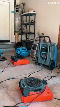 Mold Remediation Seattle WA | Water, Fire & Mold Damage Restoration