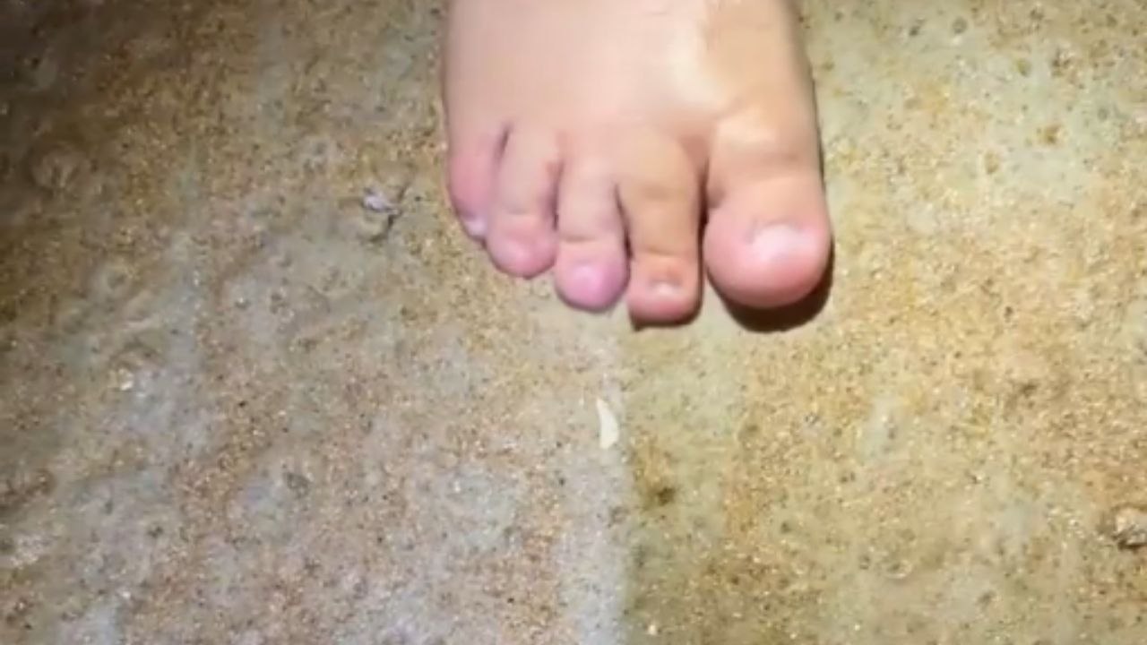 Nature shows off when a wave pulls sand fleas from the sand