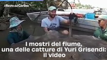 I mostri del fiume, una delle catture di Yuri Grisendi: il video