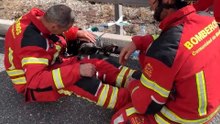 Un bombero tranquiliza al perro del matrimonio gravemente herido en el accidente de la AP-6