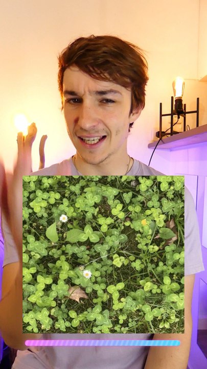 Jeu rapidité