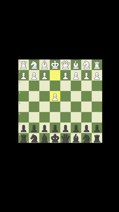 il a abandonné avant le checkmate ♟️