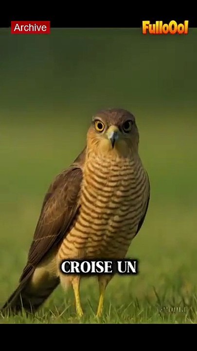 Un regard qui en dit trop… #insolite