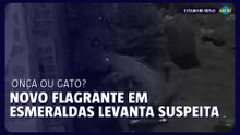Onça ou gato Novo flagrante em Esmeraldas levanta suspeita entre moradores