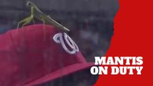 Victor Robles’ praying mantis moment resurfaces and goes viral again