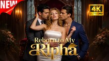[New Film] Reborn to My Alpha | Full Movie (2026)
