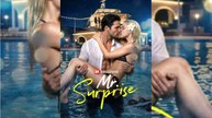 ☯️    Mr Surprise ☯️ - Full Dailymotion 🍀🍀 0404M04