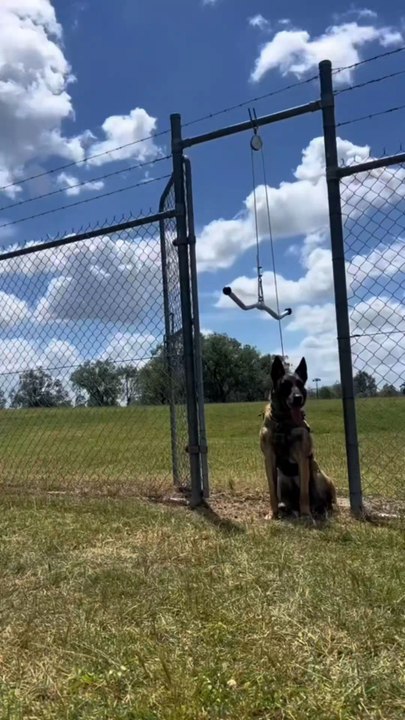 She's training with her dog! 👏🔥