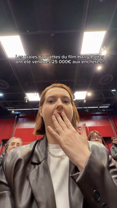 25 000€ pour une baguette Harry Potter c’est fou !!