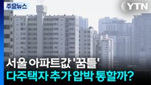 서울 아파트값 '꿈틀'...다주택자 추가 압박 통할까? / YTN