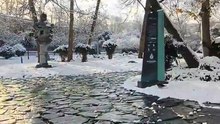 Karlı havada Japon bahçesini gezdim!