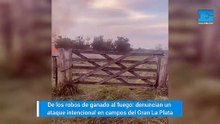 De los robos de ganado al fuego: denuncian un ataque intencional en campos del Gran La Plata