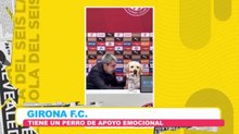 Equipo de fútbol tiene un perro de apoyo emocional