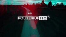Polizeiruf 110 -426- Goldraub