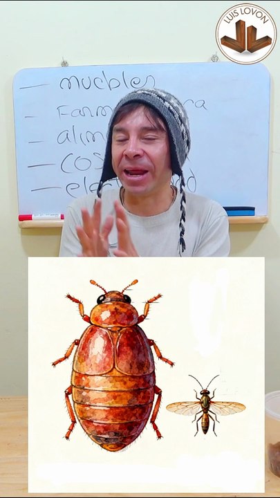 ¿QUE PAIS EXPORTA MAS GOMA LACA EN EL MUNDO? ¿ES UN GUSANO O UN INSECTO EL QUE PRODUCE GOMA LACA?