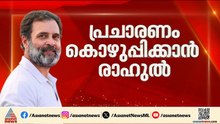 പ്രചാരണം കൊഴുപ്പിക്കാൻ രാഹുൽ ഗാന്ധി; മധ്യ കേരളത്തിലെ മൂന്ന് ജില്ലകളിലായി 4 പൊതുയോഗങ്ങൾ