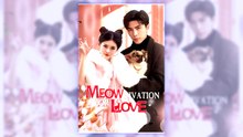 Meow-tivation for Love | Complete Series