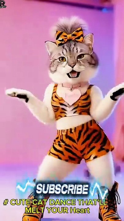 # ADORABLE CAT DANCE