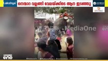 നെന്മാറ വല്ലങ്ങി വേലക്കിടെ ആന ഇടഞ്ഞു; പാപ്പാനും നാട്ടുകാർക്കും പരിക്ക്