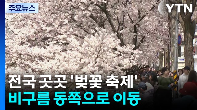 [날씨] 낭만 가득 '불광천 벚꽃', 상춘객 북적...내일 밤부터 또 비 / YTN