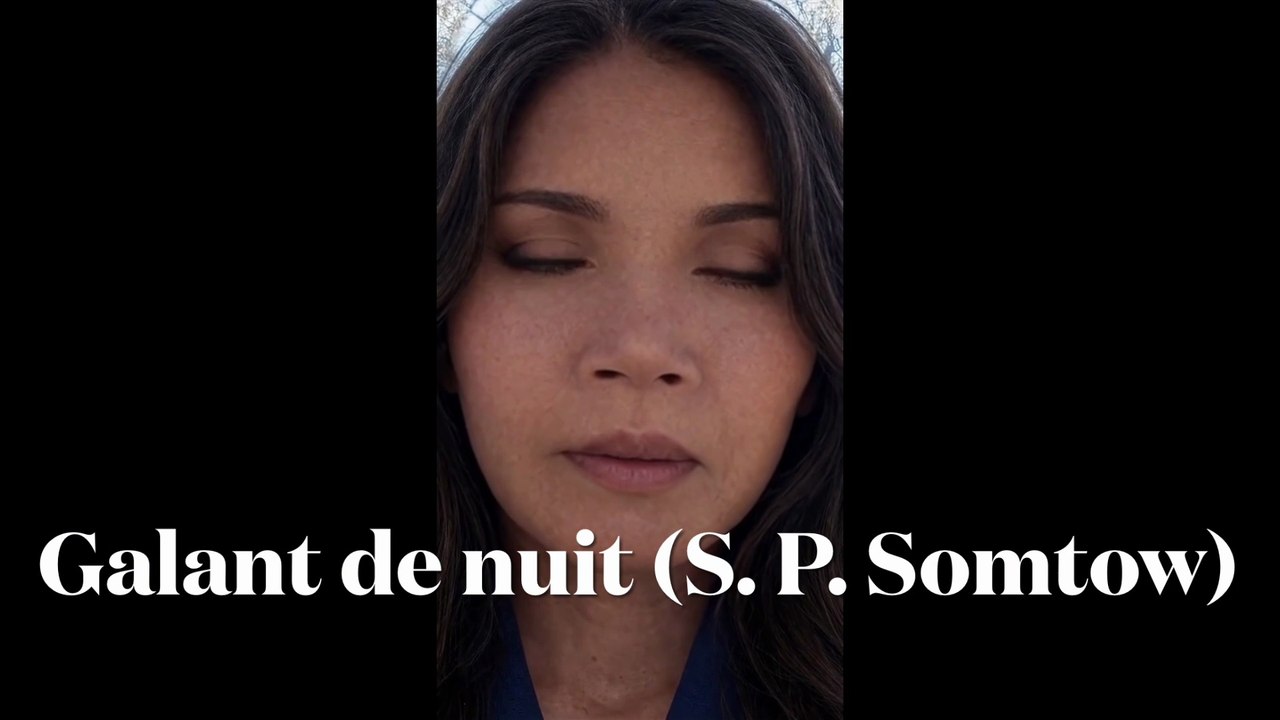 Galant de nuit « S. P. Somtow » (musique générée par IA texte Neary)