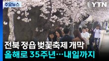 연분홍 꽃비 흩날리는 정읍...'벚꽃 축제' 상춘객 북적 / YTN