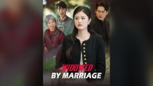 Widowed By Marriage Full Chinese Drama