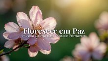 Florescer em Paz | Música Calma para Dias de Primavera