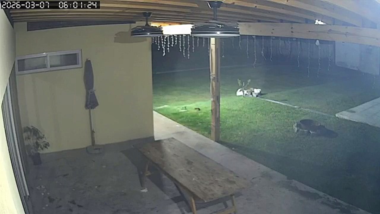 The Second Mistake: Burglars Run Into Victims in Cañuelas #Argentina #Robbery