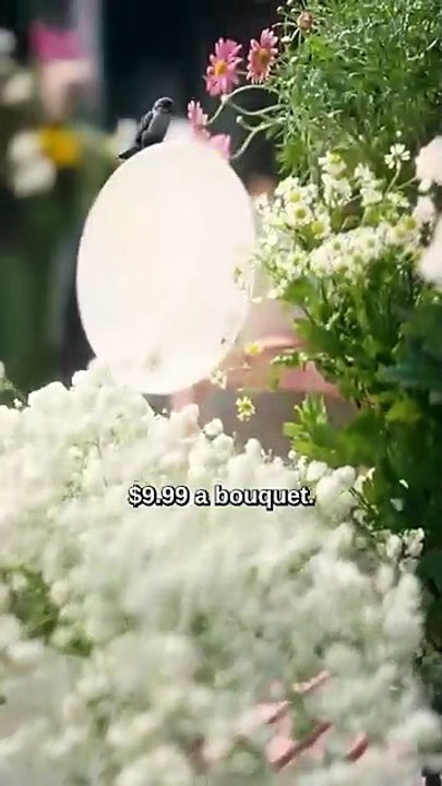 the lie that bound us chinese drama [Full Movie] [Full Storyline]Full EP - Full